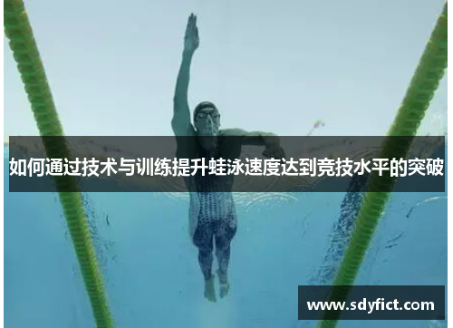 如何通过技术与训练提升蛙泳速度达到竞技水平的突破
